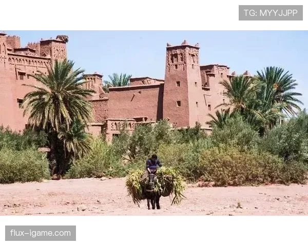 摩洛哥传奇射手阿什拉夫表现稳健引关注,历史之路与未来前景备受期待 摩洛哥传奇射手阿什拉夫表现稳健引关注,历史之路与未来前景备受期待