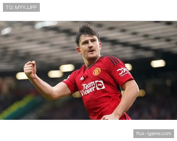 西汉姆联本赛季表现稳健,竞争力持续提升 西汉姆联本赛季表现稳健,竞争力持续提升